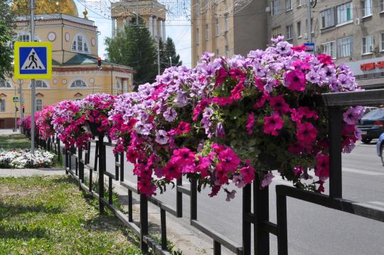 Фото 6 Вазон для цветов на ограждения, г.Москва 2015
