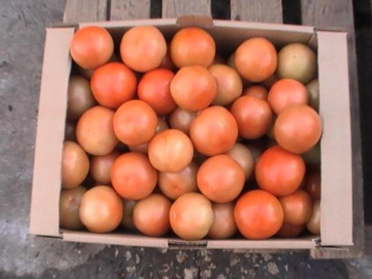 Фото 3 Тепличные свежие томаты, г.Липецк 2015