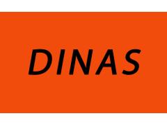 Компания «Динас»
