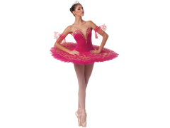 Фото 1 Классические костюмы для балета, г.Москва 2015
