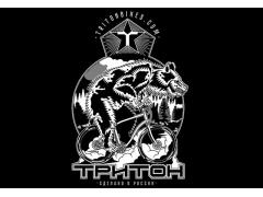 Компания «Тритон»