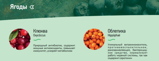 212228 картинка каталога «Производство России». Продукция Дикорастущие ягоды замороженные, г.Омск 2016