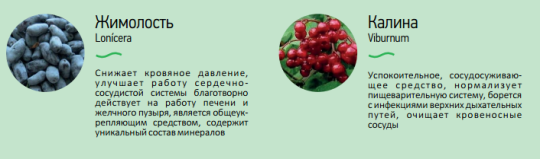 Фото 5 Дикорастущие ягоды замороженные, г.Омск 2016