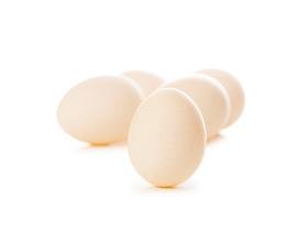 Куриные пищевые яйца