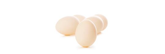 Фото 3 Куриные пищевые яйца, г.Атяшево 2016