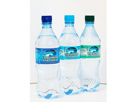 Питьевая вода «Серебряная вода» в пэт-бутылках