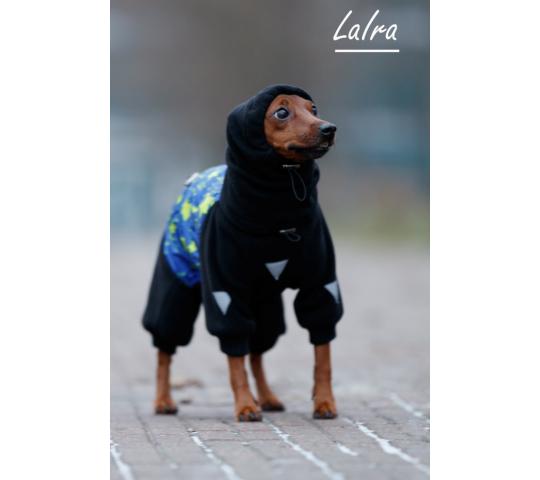 Фото 4 Одежда для собак LaIra 2017