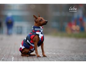 Производитель одежды для собак «LaIra»