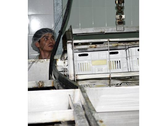 Фото 5 Производитель сыра «МЕЖ-Компани», г.Омск