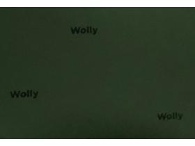 Компания «Wolly»