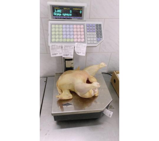 Фото 1 Тушки куриные ЦБ (маточник) 2,7-3,5 кг ГОСТ 1 сорт, г.Брюховецкая 2018