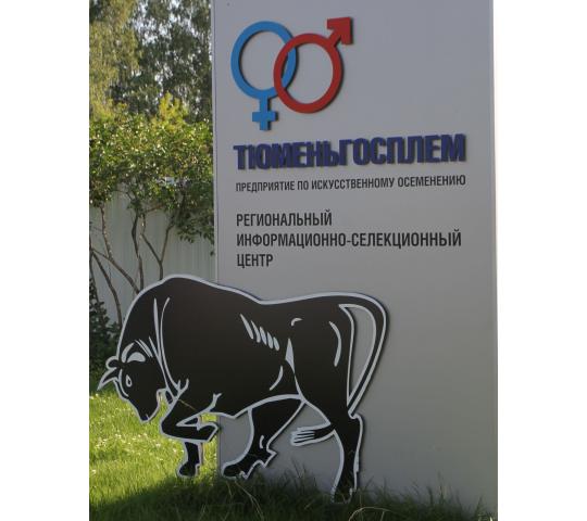 Фото №1 на стенде Организация по искусственному осеменению и племенной работе. 482245 картинка из каталога «Производство России».