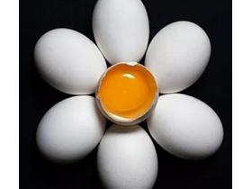 Яйцо куриное отборное
