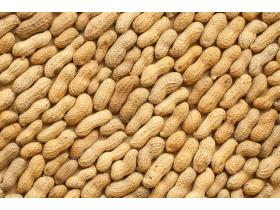 Производитель арахиса «Good Nut»