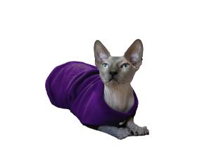 Флисовый жилет для кошек