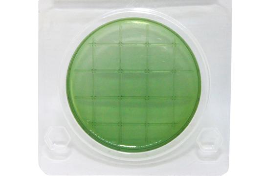 Фото 1 Экспресс тест на E.coli и колиформные бактерии, г.Саратов 2023