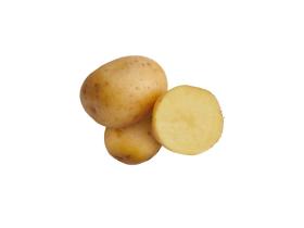 Семенной картофель «Лилли»