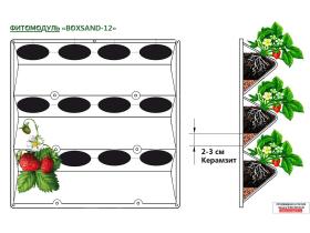 Фитомодуль 60х60 см для выращивания урожая. Марка BOXSAND-12