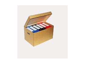 Коробка архивная